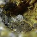 Cerusite09, La Fonderie, Poullaouen, FinistèreX3,6mm62ph