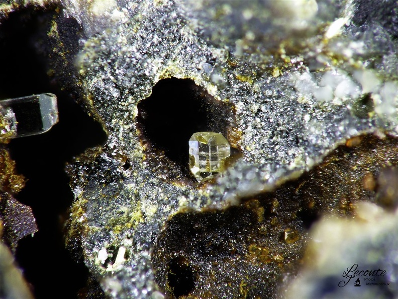Anglesite - Phosgenite, Menez Plom, Carnoet, Côtes-D'ArmorX3,6mm36ph.jpg