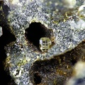Anglesite - Phosgenite, Menez Plom, Carnoet, Côtes-D'ArmorX3,6mm36ph
