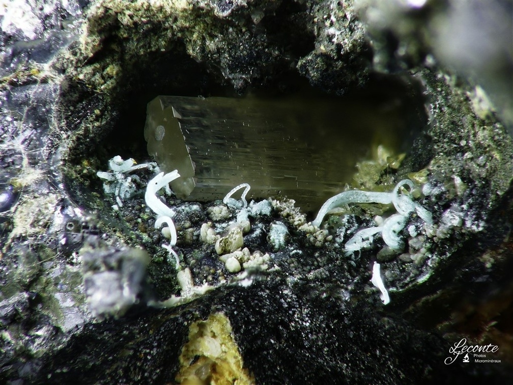 Malachite01, Phosgenite, Menez Plom, Carnoet, Côtes-D'ArmorX3,6mm57ph