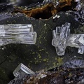 Phosgenite, Carnoet, 22X6,1mm76phCZ