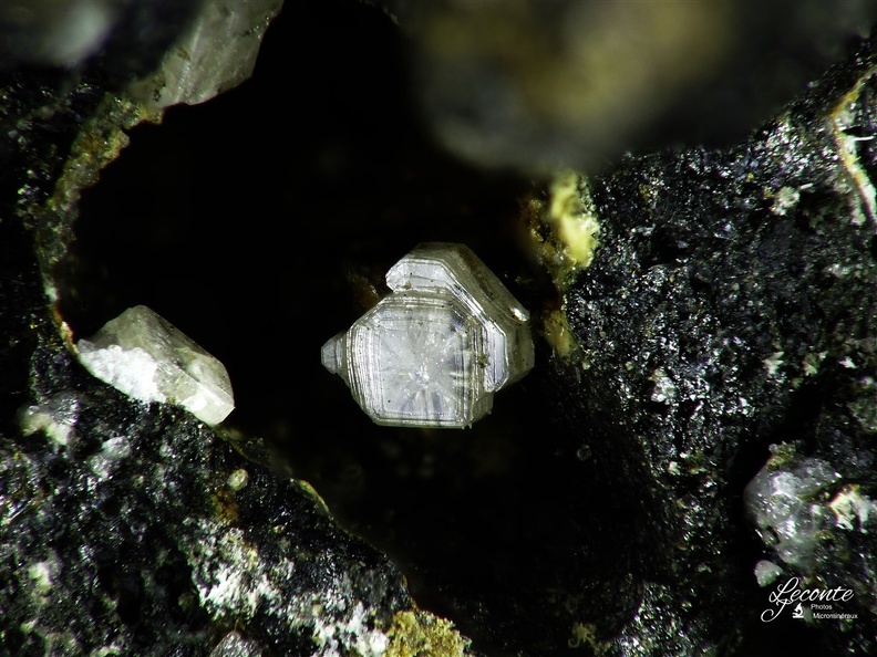 Phosgenite13, Menez Plom, Carnoet, Côtes-D'ArmorX3,6mm41ph.jpg