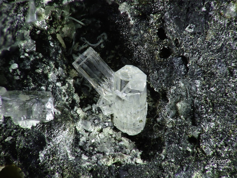 Phosgenite14, Menez Plom, Carnoet, Côtes-D'ArmorX4,8mm71ph.jpg