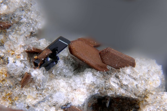 Enstatite et pseudobrookite Chatelaunoux 008-1a 3,3mm