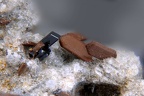 Enstatite et pseudobrookite Chatelaunoux 008-1a 3,3mm