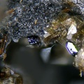 Fluorophlogopite et hématite Groire 030a 1,3mm