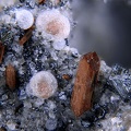 Hématite ou magnétite et enstatite + calcite Chatelaunoux 004-3a 1,7mm