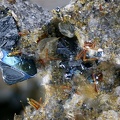 Hématite+magnétite+enstatite+fluorophlogopite Tunisset 006a 3,3mm