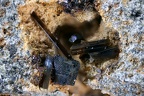 Magnétite+ fluoroédénite Courlande 011a 3,0mm