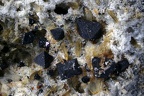 Magnétite+enstatite Courlande 007-2a 2,3mm