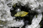 Titanite Chomets Puy-de-Dôme 2,3mm @JMB