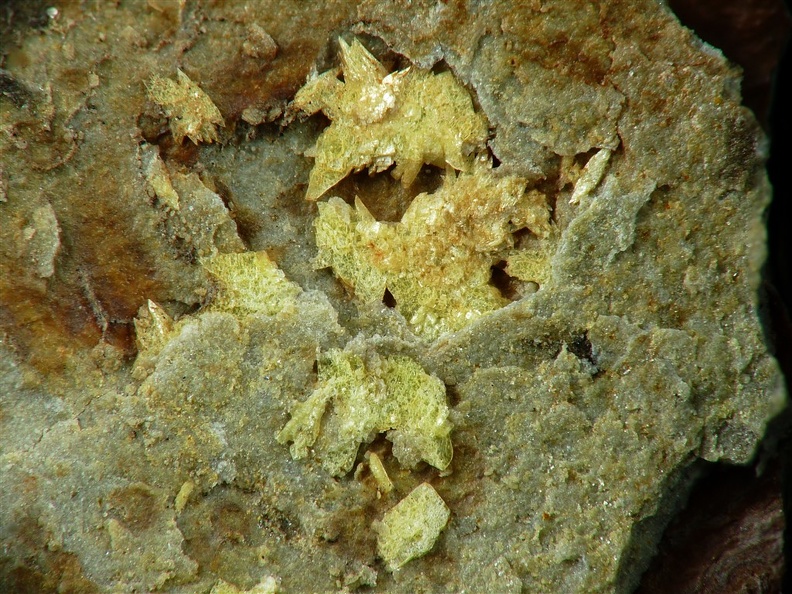 Abernathyite, Rivieral, Le Bosc, HéraultX6,6mm58ph.jpg