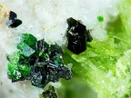 Allanite-(Ce) Grossulaire, Asbestos, Canada X4,2mm78phCZ