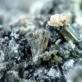 Argentopyrite, Pohla, Saxe, AllemagneX6,6mm69phCZ