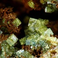 Bariopharmacosiderite, Filon Ste Barbe, Echassières, AllierX4,5mm57phCZ