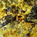 Clinobisvanite, Pottsite, Linka, Nevada, USAX3,6mm42ph