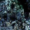 Cuprostibite, Scories Vialas, LozèreX4,2mm98phHF