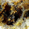 Hematite, Beauvoir, Echassières, Allier01X3,6mm52phCZ