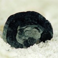 Hematite, Bonneval-Tarentaise, SavoieX7,2mm110phCZ