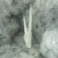 Natrolite, Montboissier, Brousse, Puy-de-Dôme04X7,2mm88phCZ