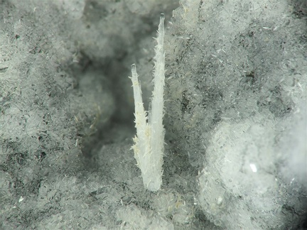 Natrolite, Montboissier, Brousse, Puy-de-Dôme04X7,2mm88phCZ