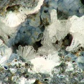 Phillipsite-K, Deglazines, Mostuejouls, Aveyron01X3,9mm85phCZ