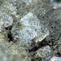 Phillipsite-K, Barakani, MayotteFOV5,1mm38photos