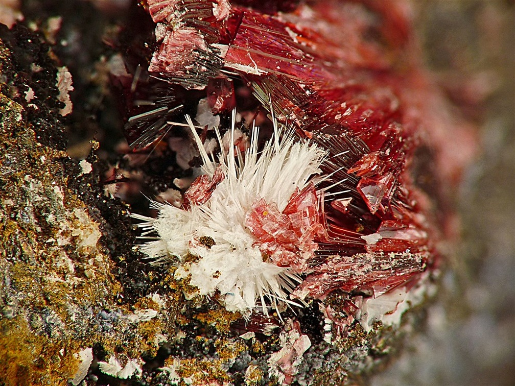 Picropharmacosiderite, Sara Alicia, Alamos, Sonora, Mexique02X6,6mm97phZS1