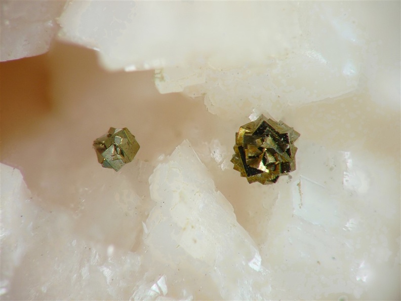 Pyrite, Le Rivet, Montredon-Labessonnié, Tarn03X3,6mm48phZS