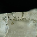 Pyrite, Le Rivet, Montredon-Labessonnié, TarnX5,1mm86ph