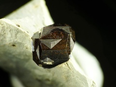Pyrite, Maibolte, Dörentrup,, Rhénanie-N.-Westphalie, AllemagneX15,5mm105ph