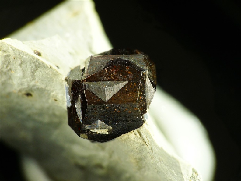 Pyrite, Maibolte, Dörentrup,, Rhénanie-N.-Westphalie, AllemagneX15,5mm105ph.jpg
