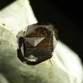 Pyrite, Maibolte, Dörentrup,, Rhénanie-N.-Westphalie, AllemagneX15,5mm105ph