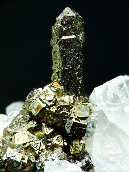 Pyrite, Limestone, Wallers-en-Fagne, , NordX7,2mm79phCZ2.jpg