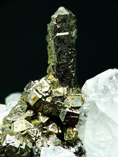 Pyrite, Limestone, Wallers-en-Fagne, , NordX7,2mm79phCZ2