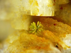 Pyromorphite, Le Rossignol, Chaillac, IndreX3,6mm35ph