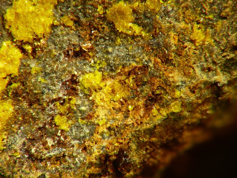 Schoderite, VanNavSan, Eureka C°, Nevada, USAX3,6mm30ph