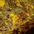 Schoderite, VanNavSan, Eureka C°, Nevada, USAX3,6mm30ph