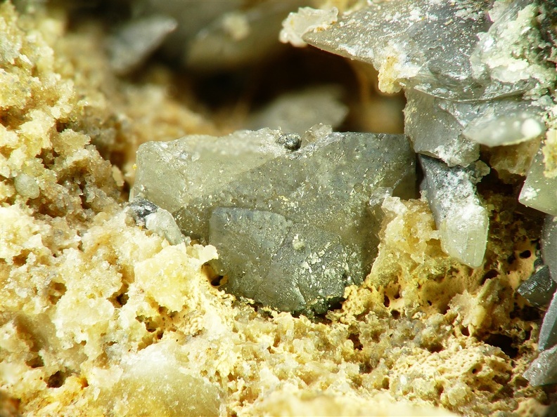 Stolzite, Les Salces, LozèreX7,2mm63ph