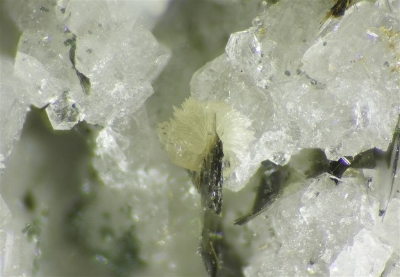 Titanite, clinochlore, Hillerhorn, Chummibort, Valais, SuisseX3mm73ph