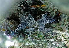 Tridymite,TrucdeBonjour,LozèreX3,6mm47phCZ1