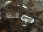 Forsterit1065