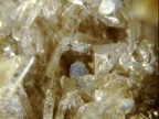 Jeremejewit0880