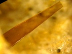 Pseudobrookit6480
