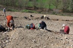 IMG 0868