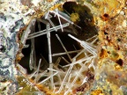 Anglesite, Scories Poullaba, Finistère01X4,2mm129phCS