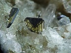 Brookite, Le Grand Chatelard, Le Chatelard, SavoieX7,2mm184phZS2