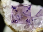 Fluorite, Néris-les-BainsX3,9mm87ph