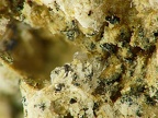 Harmotome, Fohberg, Botzingen, AllemagneX3,6mm30phCZ1