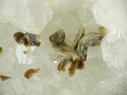 Leadhillite, Bréziès, Asprières, Aveyron05X4,8mm42phCZ